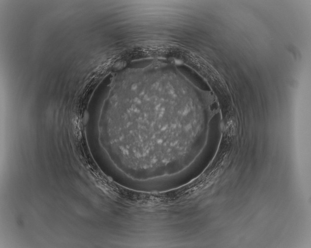 X0000110700772200906121333