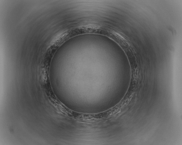 X0000110700774200906121333