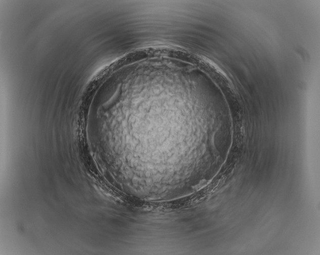 X0000110700775200906121333