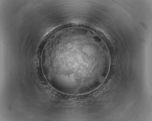 X0000110700776200906121333