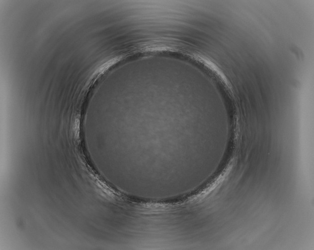 X0000110700777200906121333