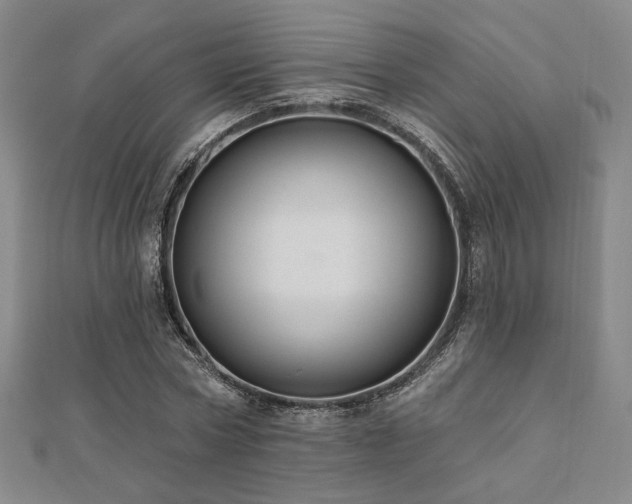 X0000110700778200906121333