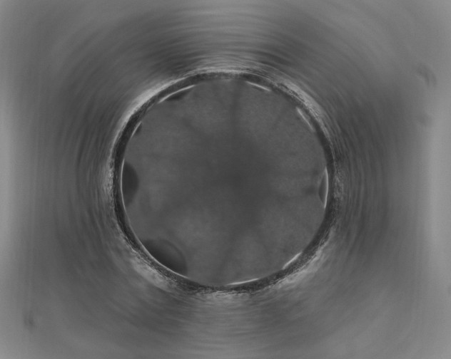 X0000110700779200906121333