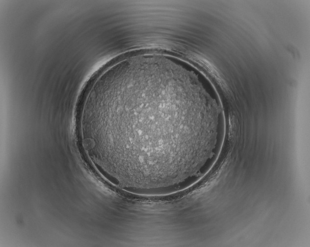 X0000110700780200906121333