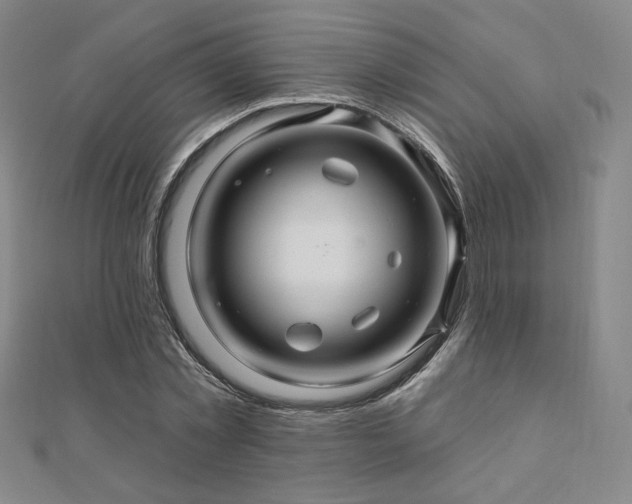 X0000110700781200906121333