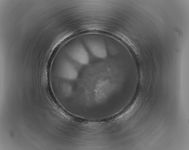 X0000110700782200906121333
