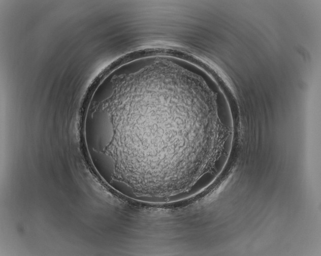 X0000110700783200906121333