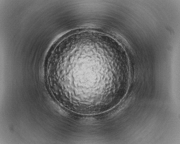 X0000110700784200906121333