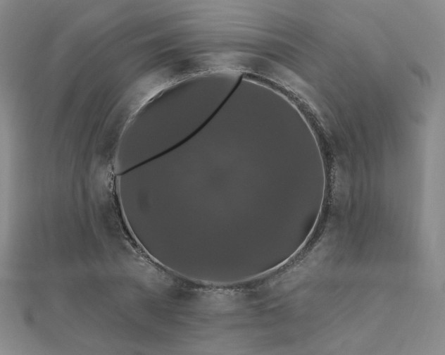 X0000110700785200906121333
