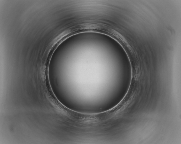X0000110700786200906121333
