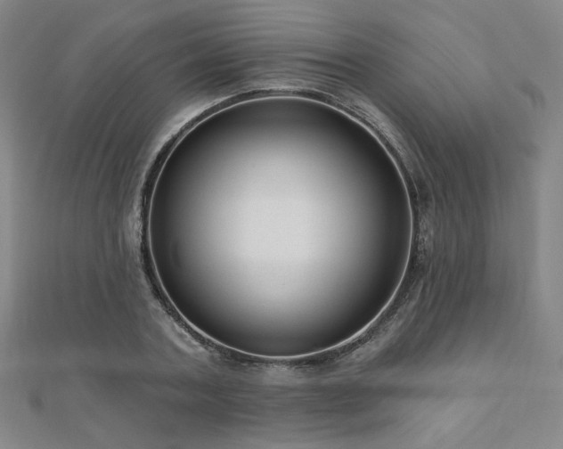 X0000110700787200906121333