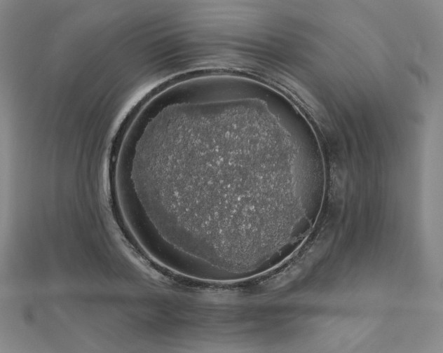 X0000110700788200906121332