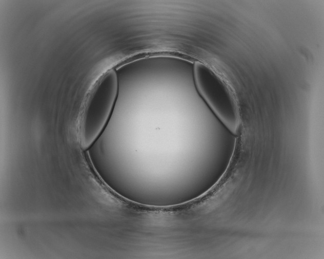 X0000110700789200906121332