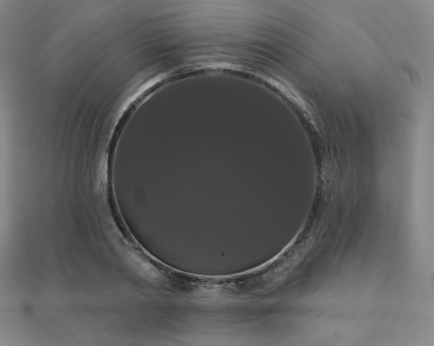 X0000110700790200906121332