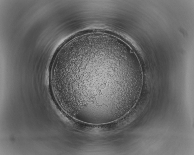 X0000110700791200906121332