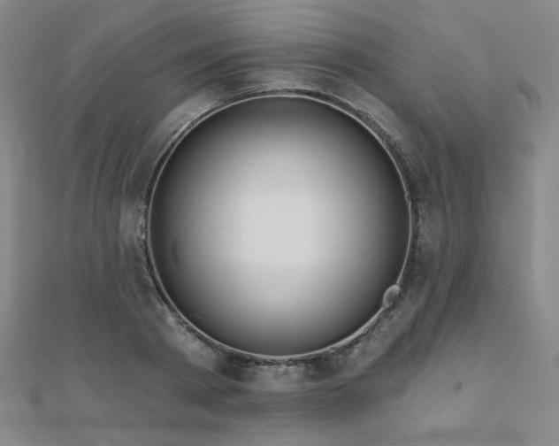 X0000110700793200906121332