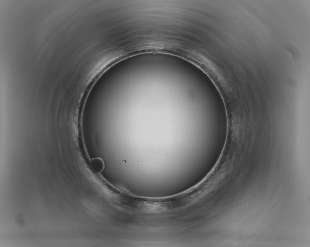 X0000110700794200906121332