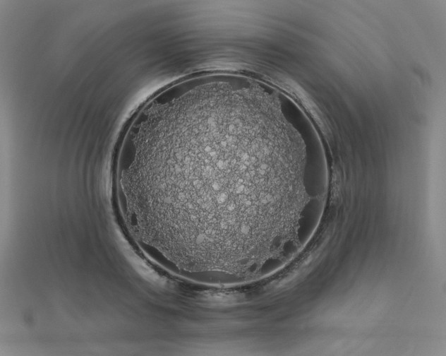 X0000110700795200906121332