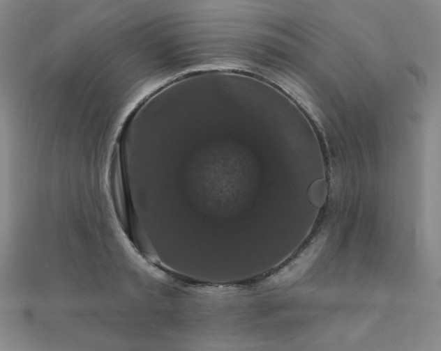 X0000110700797200906121332