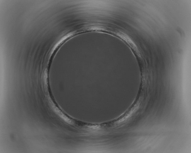 X0000110700798200906121332