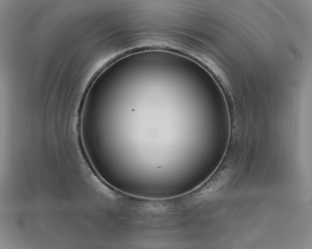 X0000110700799200906121332