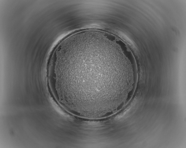 X0000110700800200906121332