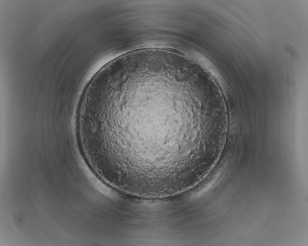 X0000110700803200906121332