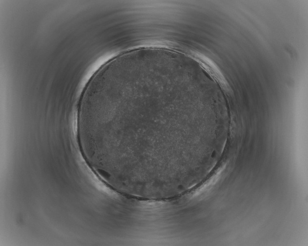 X0000110700804200906121332