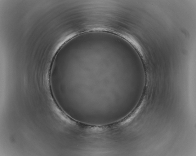 X0000110700806200906121332