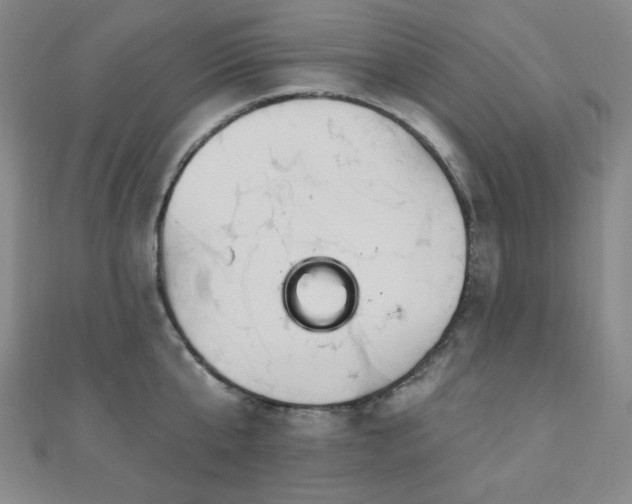 X0000110700807200906121332