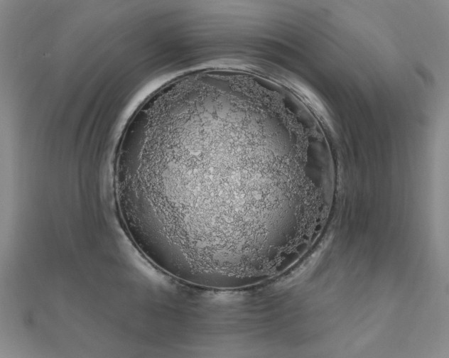 X0000110700808200906121332