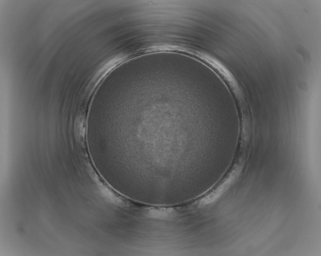 X0000110700809200906121332