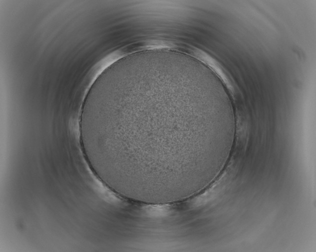 X0000110700810200906121332
