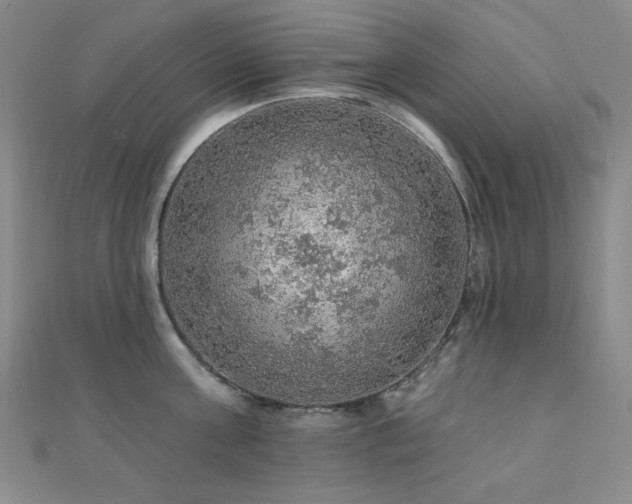 X0000110700811200906121332