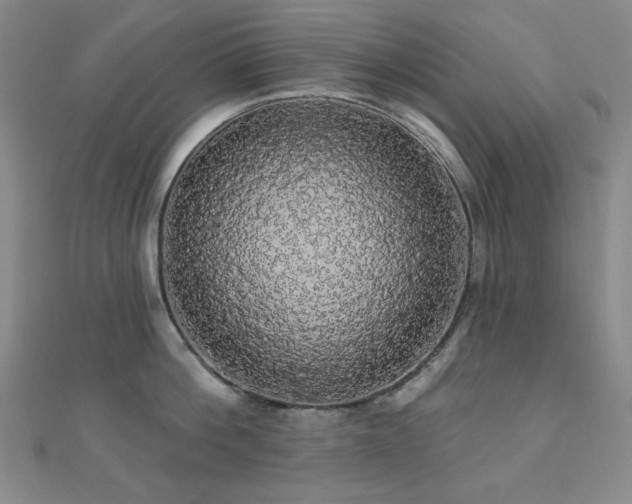 X0000110700812200906121332