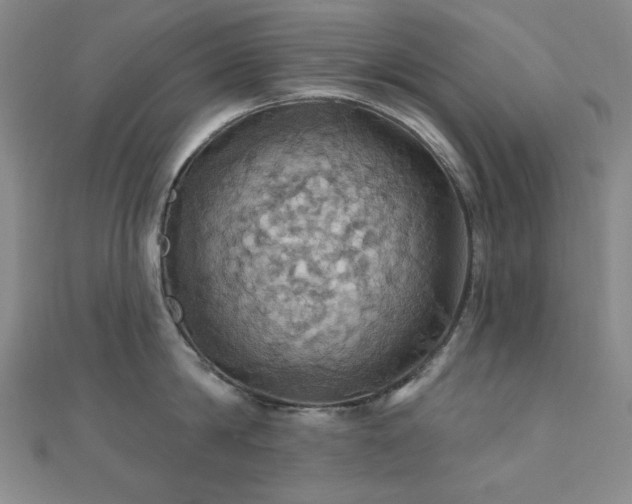 X0000110700814200906121332