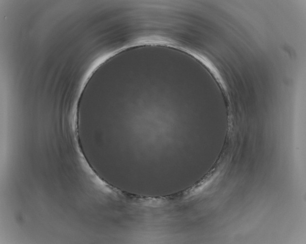 X0000110700815200906121332