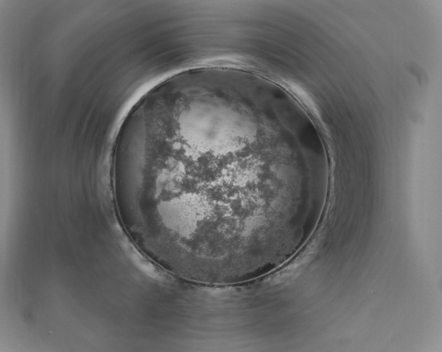 X0000110700816200906121332