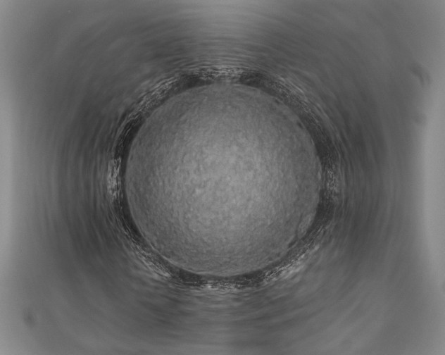 X0000110700818200906121332