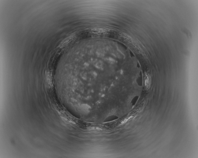 X0000110700819200906121332