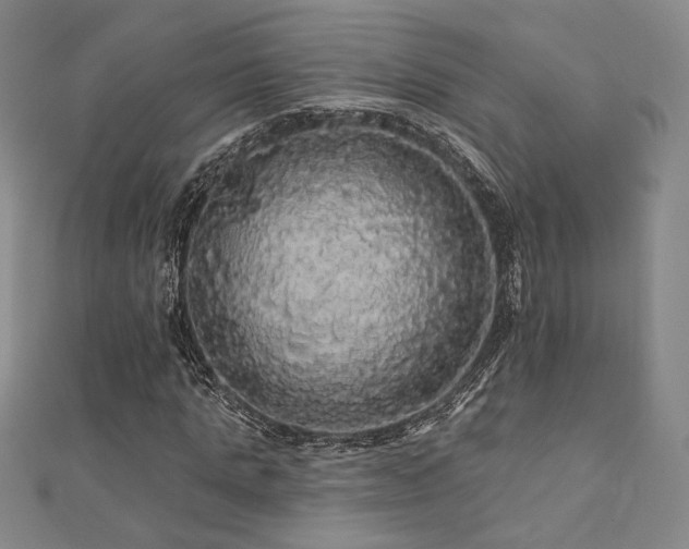 X0000110700821200906121332