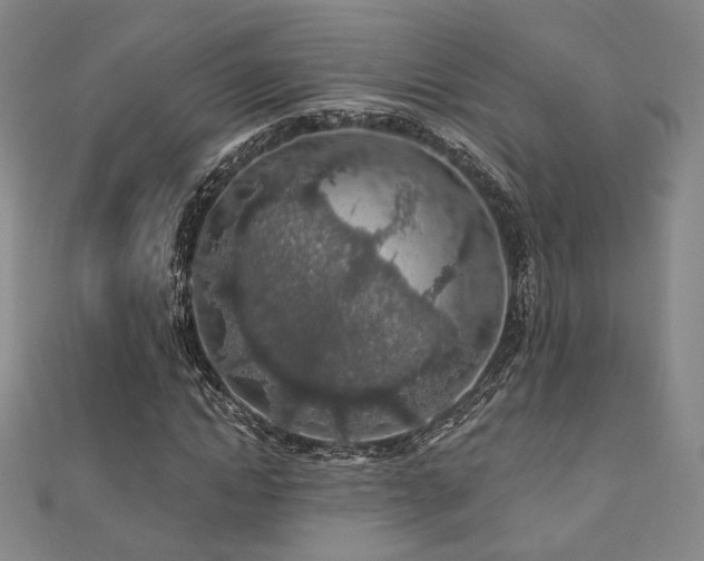 X0000110700822200906121332