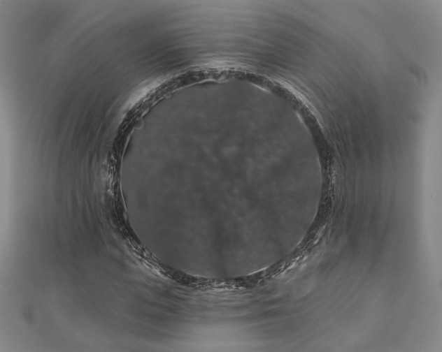 X0000110700823200906121332