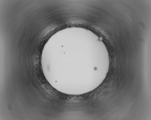 X0000110700824200906121332