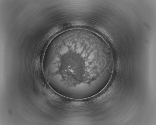 X0000110700825200906121332