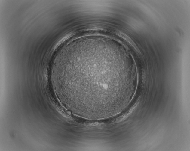 X0000110700826200906121332