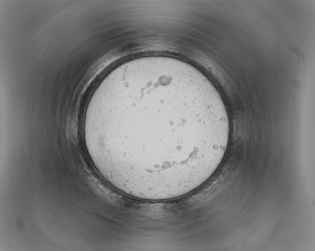 X0000110700828200906121332