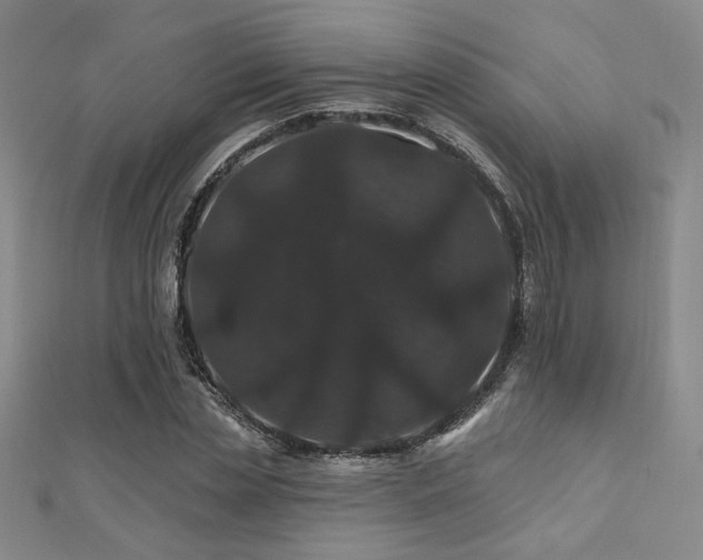 X0000110700829200906121332
