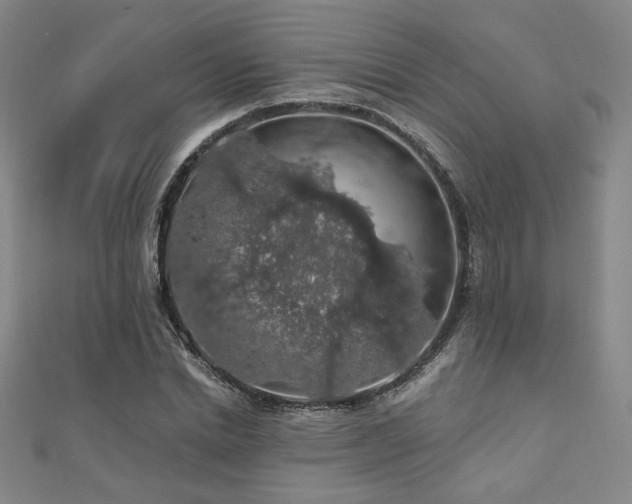 X0000110700830200906121332