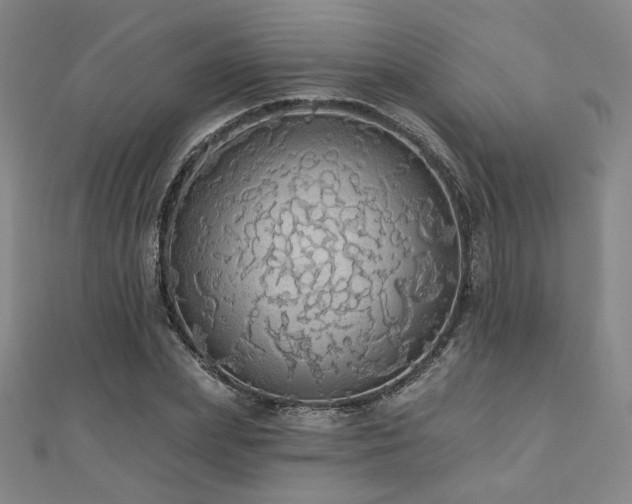 X0000110700831200906121332